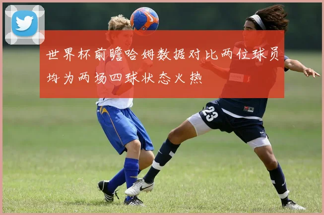 世界杯前瞻哈姆数据对比两位球员均为两场四球状态火热