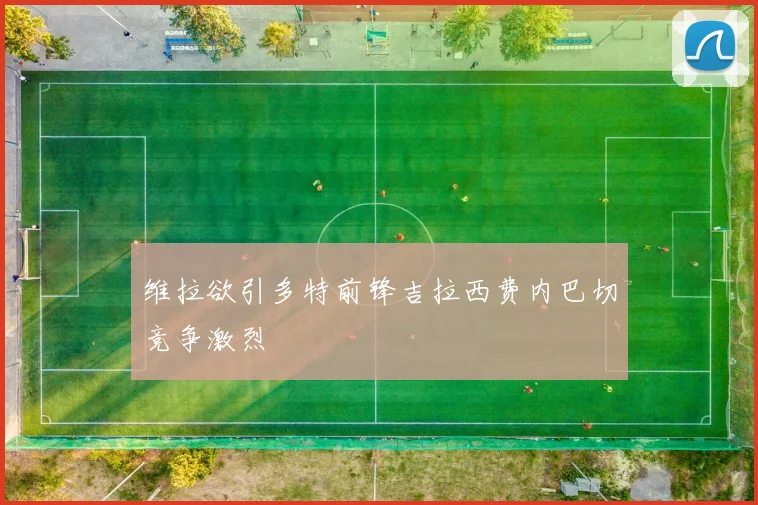 维拉欲引多特前锋吉拉西费内巴切竞争激烈