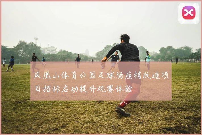 凤凰山体育公园足球场座椅改造项目招标启动提升观赛体验